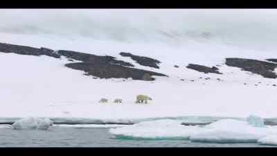 Only those able to adapt will make it - Our Oceans