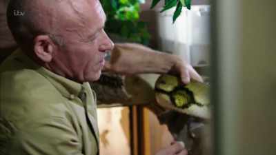 'Only this time,
the snakes were even bigger. - Britain's Tiger Kings - On the Trail with Ross Kemp