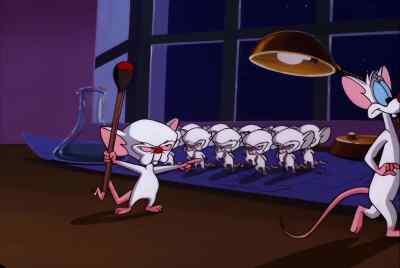 OOF! - Pinky and the Brain