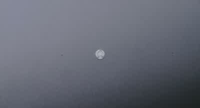 Ooh a nickel - Scary Movie 4