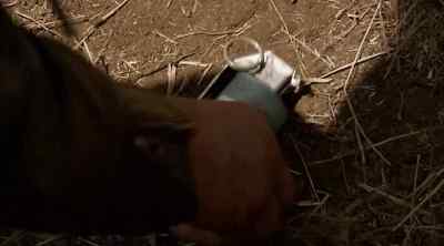 Ooh! Hey, Burt, got some
war porn for you. - Tremors 5: Bloodlines