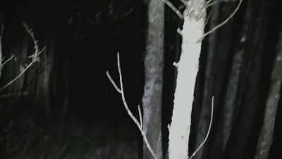 Ooh. Look, there! See it?
You got it on camera? - Spooked Scotland