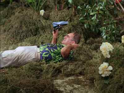 OOH. OOH, MY HEAD. - Gilligan's Island