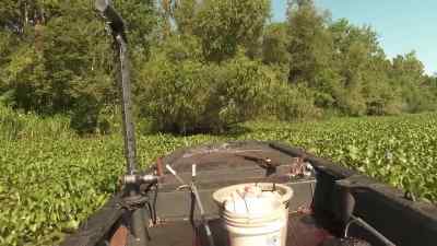       Ooh, pulling tight. - Swamp People