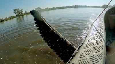 Ooh! - Swamp People