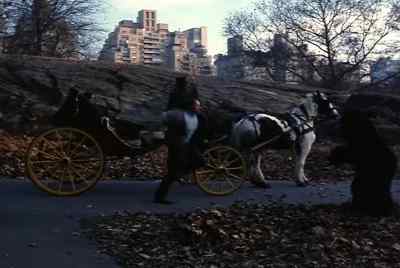 Ooh! - Hercules in New York