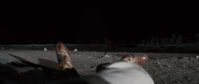 ---oOo--- - The Forgiven