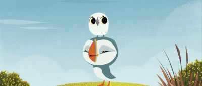 - Oooh...
- I've never seen so many puffins. - Puffin Rock and the New Friends