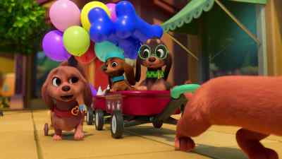 Oops! Sorry, Puck. - Pretzel and the Puppies