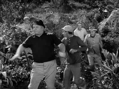 Oops! wait! - Gilligan's Island