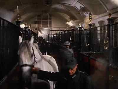 Open that door! - Miracle of the White Stallions