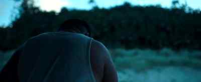 Open! Inside! - The Shallows