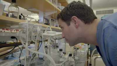 Operating at the very limits
of our scientific knowledge, - The Human Body: Secrets of Your Life Revealed