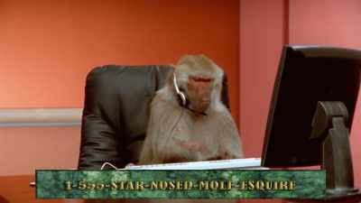 Operators are standing by. - Absurd Planet