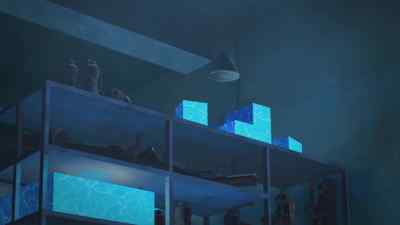 OPTIMUS: An impressive collection. - Transformers: Robots In Disguise