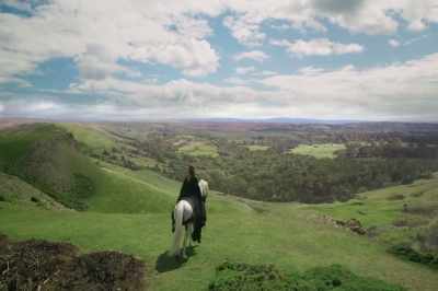 Or, to be more precise, 19,996, - Britannia