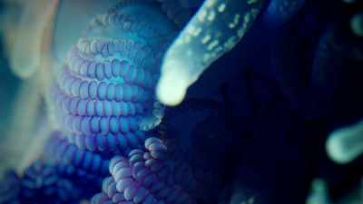 Or you can be
like a man o' war - One Strange Rock