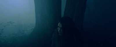 Or did you come
to take him away? - Transference
