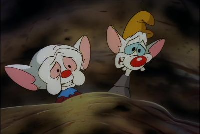 Or else wide-awake
with a bad migraine. - Animaniacs