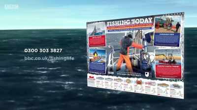 Or go to... - Cornwall: This Fishing Life