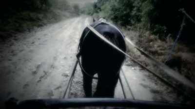 Or was it to prevent his wagons  from being inspected? - The Curse of Civil War Gold