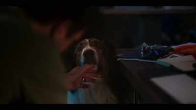 Or maybe I'm pretending to be deaf. - Rescued by Ruby