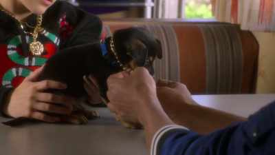 Or maybe we should start
by taking off this heavy gold chain. - AJ and the Queen