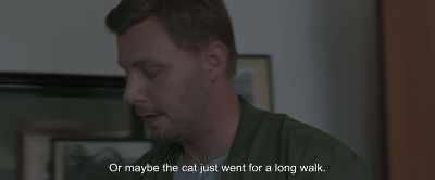 Or maybe the cat just went for a long walk. - Under the Tree