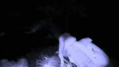 ...or something that was
emitting that orange light. - Expedition Bigfoot