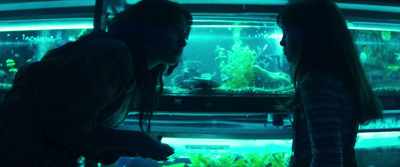 Or the water change.
They can be sensitive, - The Tank