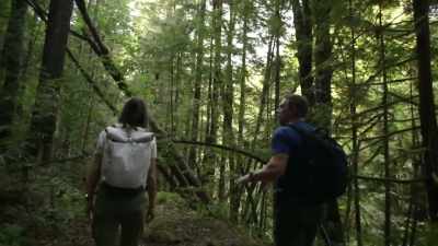 Or you think
you would be hearing - Expedition Bigfoot