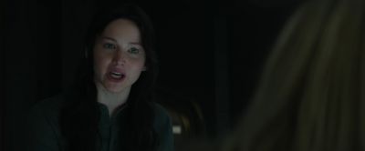 Or you will find another Mockingjay - The Hunger Games: Mockingjay   Part 1