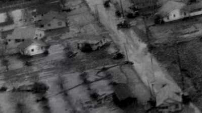 Orchard trees, cattle. - Flood in the Desert