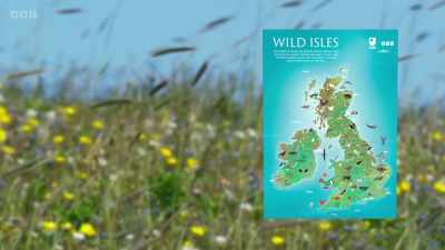 Order your copy by calling
0300 303 0265 - Wild Isles