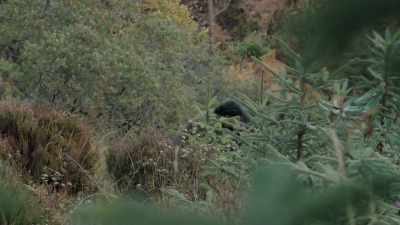 ..Ore now has to single-handedly
carry the barrel. - Celebrity SAS: Who Dares Wins
