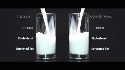 Organic dairy has just 
as much saturated fat - What the Health