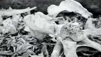Organization and extension using strategy for dominance and survival. - The Minds of Men