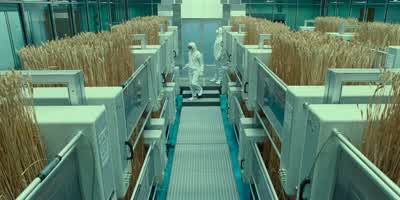 Orthoptera. - Jurassic World: Dominion