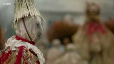 Oscar Venables shall cut the King! - The Pale Horse