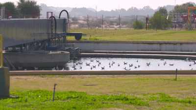Other alternative approaches
which are used - Plastic Earth