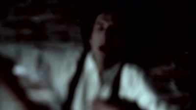 Other brother crawled up
the stairs, - The Holzer Files