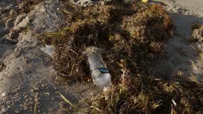 Other forms of pollution
are only too familiar. - Blue Planet II