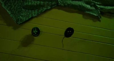 OTHER MOTHER: No! - Coraline
