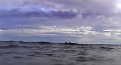 Other people go on vacations and spend their days - Open Water