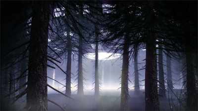 Others, Baxter, Whitener, and Green, did see the impressions - Project Blue Book Exposed