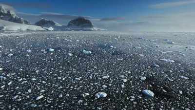 others embark on epic migrations - Super/Natural