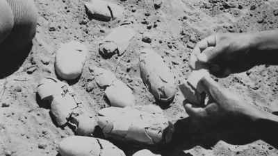 Others have come upon
eggs like this before - Tales From The Explorers Club