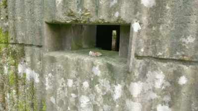 Otherwise, it's going to cause a lot of death - The Buildings That Fought Hitler