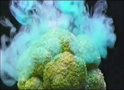 Our award winning broccoli doesn't
need additional land and we will grow - Fish Piss