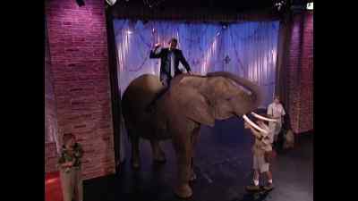 Our Big Monster Spectacular Friday! - This Is the Tom Green Documentary
